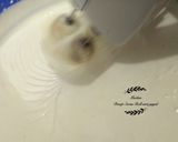 Foto langkah ke 2 dari resep Swiss Roll anti gagal.