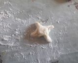 Foto del paso 6 de la receta: Facturas hojaldradas (parteII)