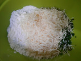 Stick Kentang Keju