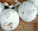 Foto del paso 3 de la receta: 🥄Puré de champiñones portobello 🍄