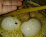 Foto langkah ke 8 dari resep Opor ibu anak (ayam telur).