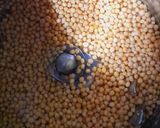 A picture of step 4 of Phulkopir Aloo Dalna.