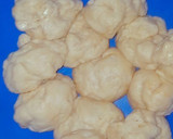 A picture of step 2 of Simple Parata's.