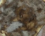 A picture of step 9 of Cinnamon Rolls.