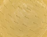 Foto del paso 3 de la receta: Masa de tarta Sablée Breton