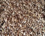 Foto del paso 4 de la receta: Granola