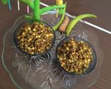 ફણગાવેલા મગ (Sprout Mag recipe in gujrati) રેસીપી સ્ટેપ3ફોટો