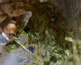 A picture of step 3 of Tabbouleh.