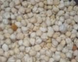 मसाला छोले(masala chole recipe in hindi) रेसिपी चरण 1 फोटो