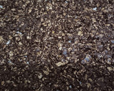 Foto langkah ke 3 dari resep My Choco-Oat.
