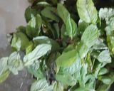 ફુદીના કાવો (Pudina Kavo Recipe In Gujarati) રેસીપી સ્ટેપ1ફોટો