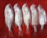 Hình bước làm 1 của món Canh cá sơn thóc nấu ngọt