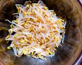 Foto langkah ke 2 dari resep Kongnamul Muchim (Korean Bean Sprout).