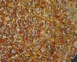 A picture of step 5 of Chilli garlic oil.