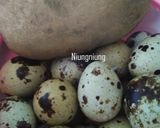 Foto langkah ke 1 dari resep SambaL Telur puyuh.