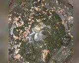 صورة لخطوة 5 من وصفة الملوخيه