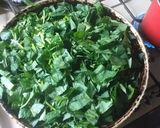 Foto del paso 1 de la receta: Canelones de espinaca & pollo y algo más