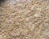 Foto del paso 2 de la receta: CheeseCake con mermelada de arándanos