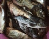 Foto langkah ke 1 dari resep Ikan Mas Asam Manis.