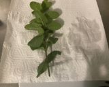 Une image de l'étape 5 de Boisson énergisante et detoxifiante au gingembre, menthe, citron et épices.