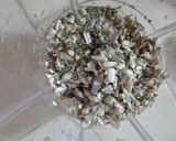 Foto del paso 1 de la receta: Queso untable de semillas de girasol VEGANO
