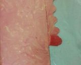 عکس مرحله 3 از دستور ژله رولی