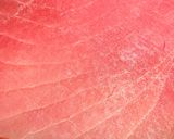 A picture of step 1 of Air Fryer Tuna Steak.