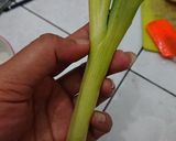 Foto langkah ke 3 dari resep Kimchi ala BSY (pakai cabe segar bukan cabe bubuk).