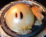 Hình bước làm 1 của món Phở bò