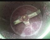 A picture of step 2 of Jamun shot.