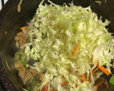 A picture of step 2 of Beef and cabbage sauce (my version).