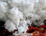 Foto langkah ke 3 dari resep Urap Sayur.