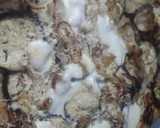 Foto del paso 4 de la receta: Pizza integral invertida de berenjenas masa sin levadura🍆🍆🍕🍕