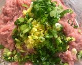 萝卜炖 · 火鸡肉丸（鸡肉丸也好吃哦）的食譜步驟2照片