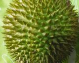 Foto langkah ke 1 dari resep Kolak ubi mix duren.