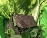 Hình bước làm 5 của món Bánh khọt
