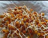 A picture of step 1 of Healthy Sprouted kala chana salad.