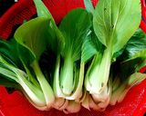 Hình bước làm 2 của món Cải thìa xào nấm đông cô