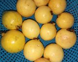 Foto del paso 1 de la receta: Atole de guayaba