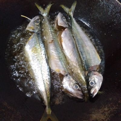 Langkah 2
