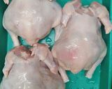 Foto langkah ke 1 dari resep Ayam Krispy.