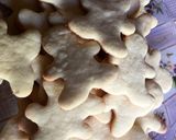 Foto del paso 6 de la receta: Galletitas navideñas