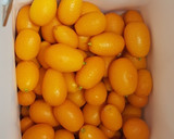 Foto del paso 2 de la receta: Bizcocho de kumquat