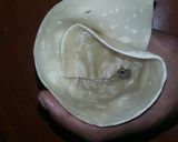 A picture of step 9 of Samosa.