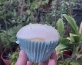 Foto del paso 8 de la receta: Muffin de Limón con Glasé de Limón 🍋 🤤