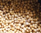 રગડા પેટીસ (Ragda Pattice Recipe In Gujarati) રેસીપી સ્ટેપ1ફોટો