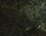 Foto langkah ke 1 dari resep Gulai Daun Singkong.