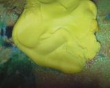 Foto del paso 1 de la receta: Bananitas Yangri 🍌🍌