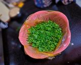 मेथी का पराठा (methi ka paratha recipe in Hindi) रेसिपी चरण 1 फोटो