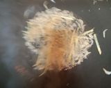 蛤蠣絲瓜湯的食譜步驟1照片